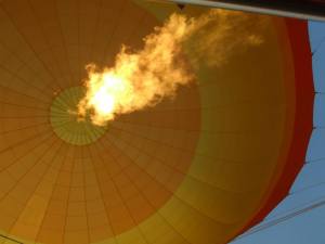 1001517_10151787547308352_480375523_n