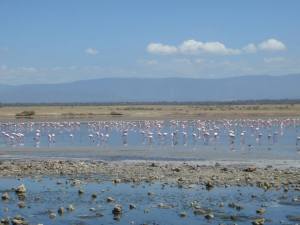 10406592_10152523742308352_4522947971323858377_n