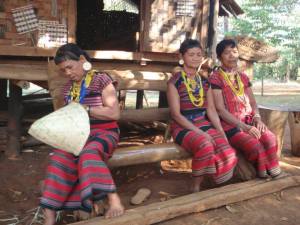 1000119_10151799611028352_839617572_n