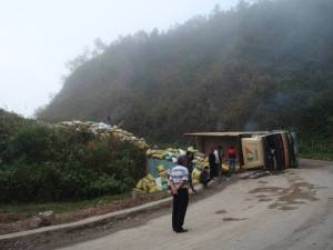 1013204_10151799180453352_31523130_n