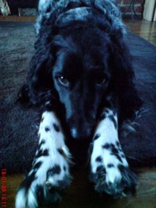 10391968_194615473351_1695452_n