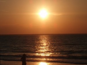 10391968_195171613351_4305398_n (1)