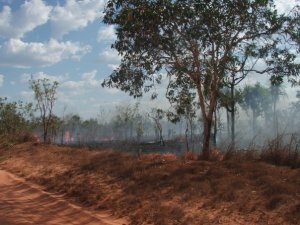 10391968_195171628351_1701696_n