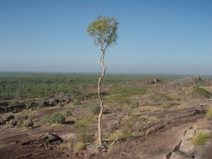 10391968_195171713351_7715823_n