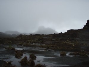 10391968_195182613351_5609534_n