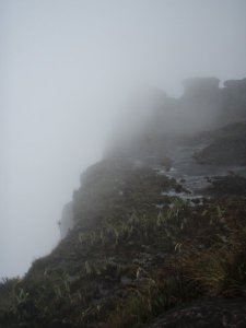 10391968_195182643351_4258041_n