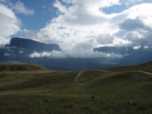 26449_357772263351_2397832_n