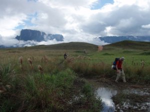 26449_357772288351_883067_n