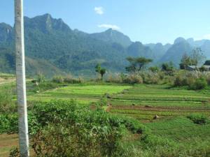 524272_10151799172998352_1721111668_n