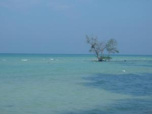 Private beach, Havelock, Andaman & Nicobar Islands