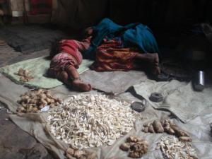 Mullik Ghat flower market, Calcutta