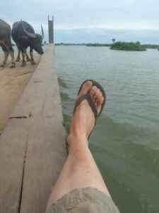 Taunting these beasts with my flip flops is what eventually sent them over the edge