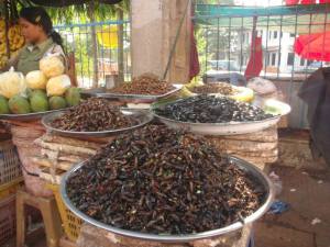 It's a bug's life. Well, it had been.