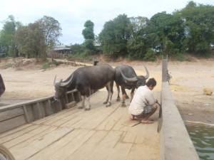 Yeah, you might want to tighten that just a tad