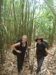 Yep, definitely lost.