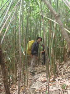 944272_10151787375998352_1730542121_n