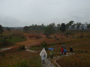 59539_10151799195948352_48836133_n